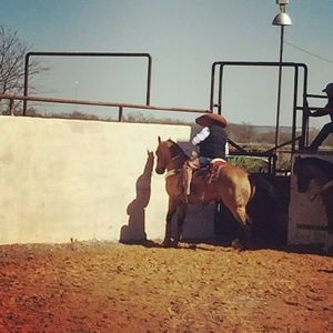 Meet your Posher, Fernando